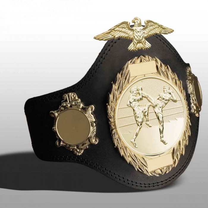 THAI BOXING CHAMPIONSHIP BELT-PLT288/G/TBOG-4 COLOURS
